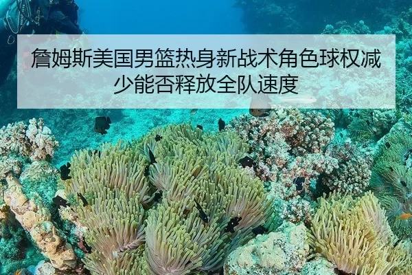 詹姆斯美国男篮热身新战术角色球权减少能否释放全队速度